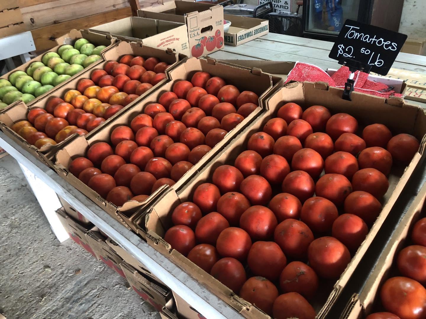 Boxes of fresh tomatoes for sale at the barn